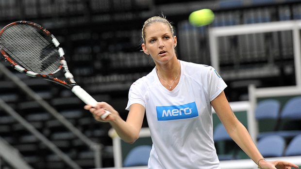 Fed Cup 2014, tenis, Karolína Plíšková