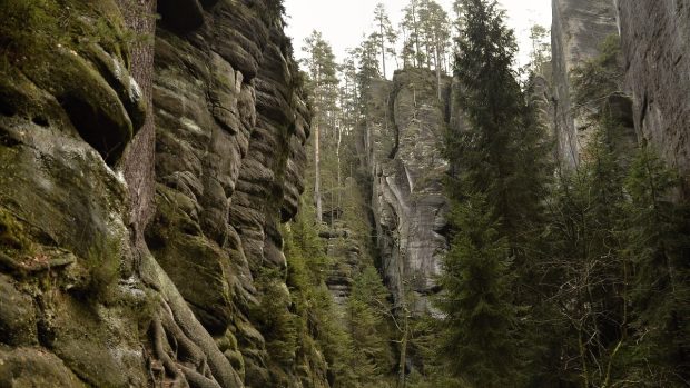 Vlčí roklí lze projít mezi Adršpašskými a Teplickými skalami