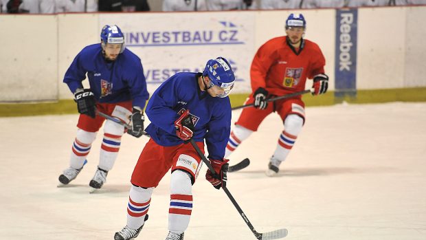 Hokejová reprezentace, hokej, trénink, Vladimír Sobotka