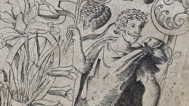 Údajný portrét Williama Shakespeara v herbáři z roku 1598