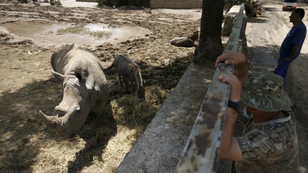 Tbibliská zoo po povodni