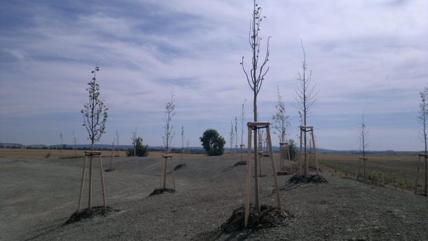 V Jemnici vyrostl nový park, přezdívaný podle tvaru valu Rohlík