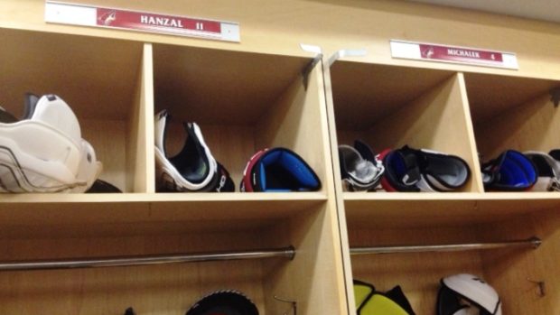 V týmu Arizona Coyotes zůstali “jen“ dva Češi, Zbyněk Michálek a Martin Hanzal