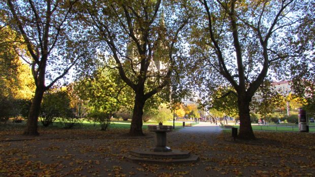 Park, podzim, listí