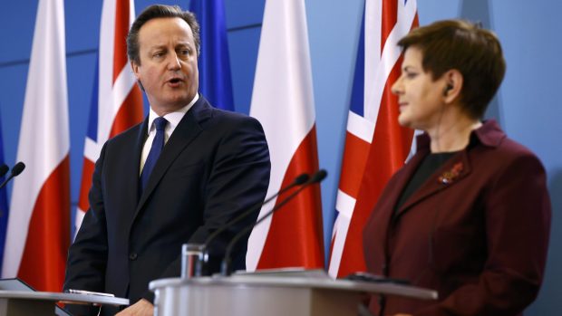 Britský premiér David Cameron a polská premiérka Beata Szydlová