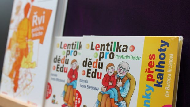 Ivona Březinová CD + kniha