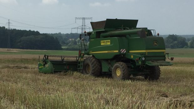 Kombajn sklizeň pole řepka zemědělství