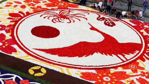 Bruselské Velké náměstí se proměnilo v květinový koberec