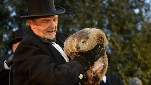 Slavný svišť Phil v americkém městečku Punxsutawney věštil počasí. Zima bude pokračovat