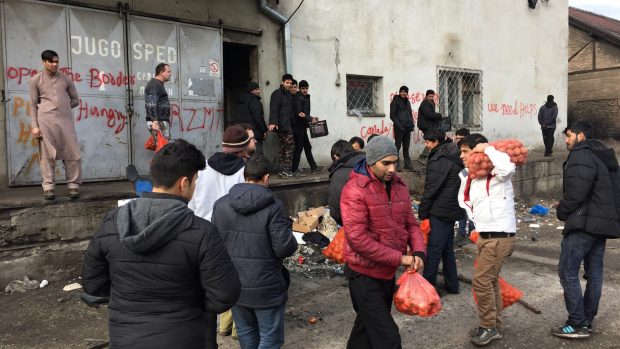 Distribuce potravin migrantům