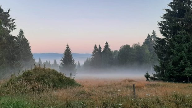 Šumava