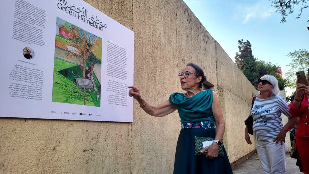 Malířka z Brandýsa nad Labem Jaroslava Bičovská vystavuje na zdi v Káhiře