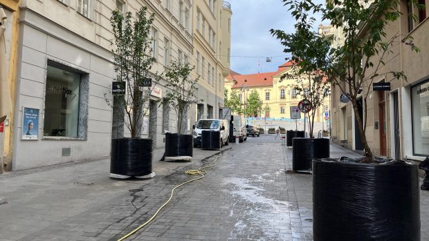 Obří květináče na ulici Zámečnická v centru Brna