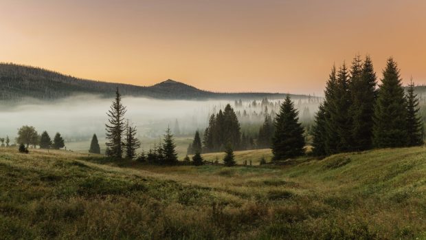 Šumava