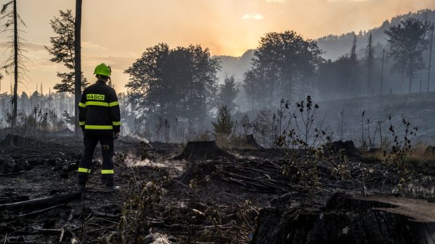 Požár lesa v Národním parku České Švýcarsko, Mezní Louka nedaleko Hřenska