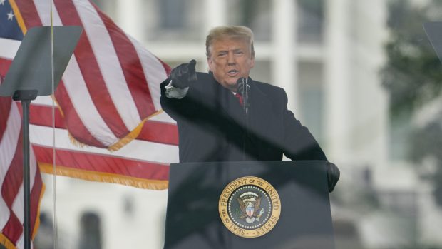 Donald Trump před davem, který protestoval ve Washingtonu proti výsledkům prezidentských voleb