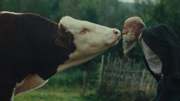 Z filmu Raději zešílet v divočině