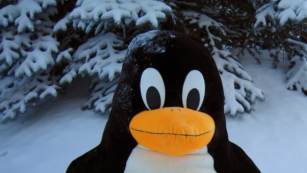 Tučňák Tux, maskot operačního systému Linux