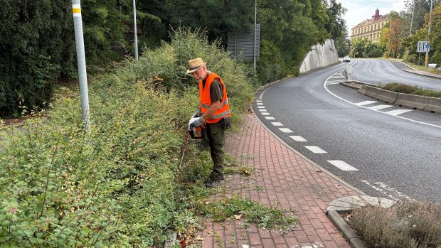 Brigádníci pomáhají v lázeňských lesích a parcích se zahradnickými pracemi od dubna do října