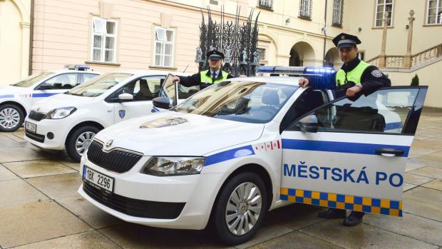 Strážníci brněnské městské policie.