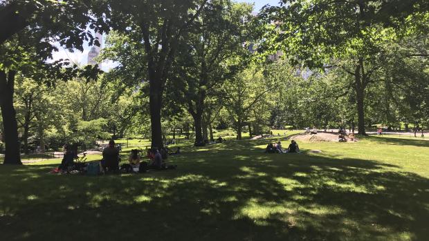 Central Park je jedno z míst, kde během pandemie narychlo vyrostla polní nemocnice pro pacienty s nemocí covid-19