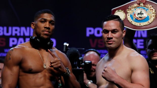 Anthony Joshua (vlevo) a Joseph Parker