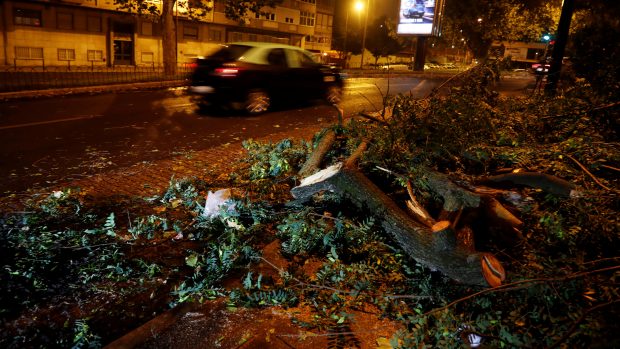 Polámané stromy a statisíce domácností bez elektřiny za sebou zanechala bouře Leslie, která se v noci přehnala přes Portugalsko.