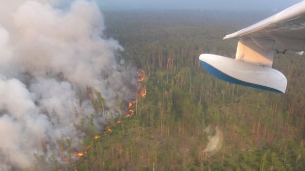 Požáry zasáhly hlavně rozsáhlá území Krasnojarského kraje a Irkutské oblasti, kde vláda vyhlásila stav ohrožení