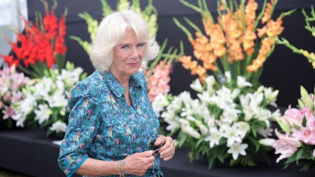 Královna manželka Camilla krále Karla III.