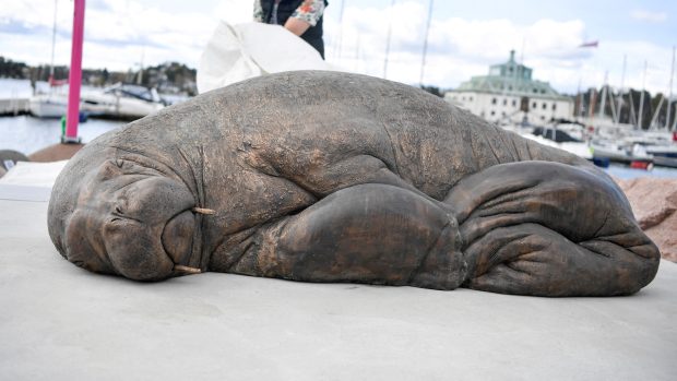 Podle sochařky má socha připomínat, že úřední rozhodnutí někdy můžou odporovat zdravému rozumu