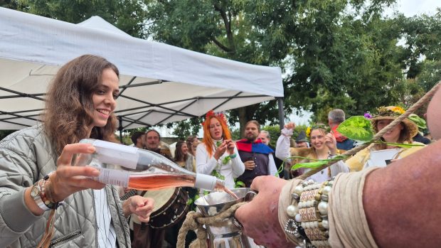 Degustace vína na vinobraní v Mikulově