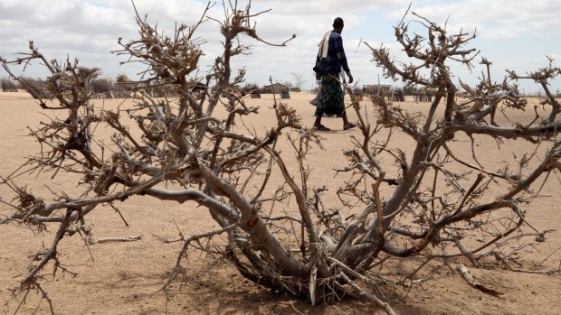 Smrtící past způsobená kombinací klimatické změny  a ozbrojeného konfliktu mění život v některých částech Somálska na zápas o přežití