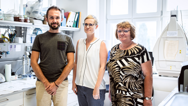 zleva Vilém Charvát, doktorand ve skupině Dr. Lenky Maletínské, 1. autor studie
Dr. Andrea Pačesová, postdoktorandka ve skupině Dr. Lenky Maletínské, korespondenční autorka studie
Dr. Lenka Maletínská, vedoucí vědecké skupiny Patofyziologické mechanismy regulace příjmu potravy, ÚOCHB AV ČR