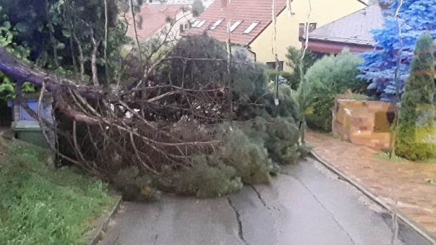 Hasiči odklízeli popadané stromy.