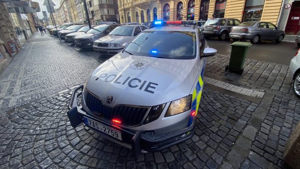 Policejní auto, policejní auta, rám (ilustrační foto)