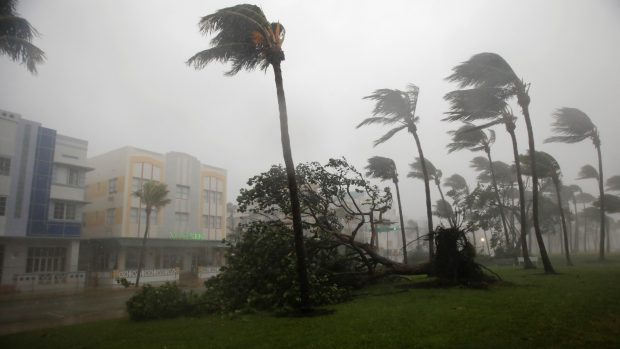 Vyvrácené stromy v Miami Beach na Floridě