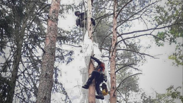 Vojáci podle armádní mluvčí prováděli skupinový seskok jako součást výcviku na akci pro veřejnost