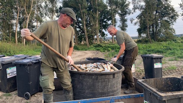 Několik desítek tun ryb uhynulých v řece Bečvě otrávily kyanidy