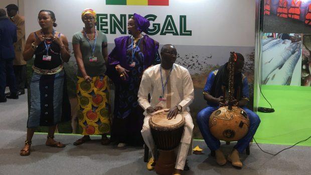 Hudebníci ze Senegalu na klimatickém summitu v Madridu