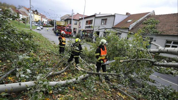 V brněnské ulici Hlavní v Komíně vichřice ulomila část stromu, který spadl přes silnici a strhl trolejbusovou trolej.