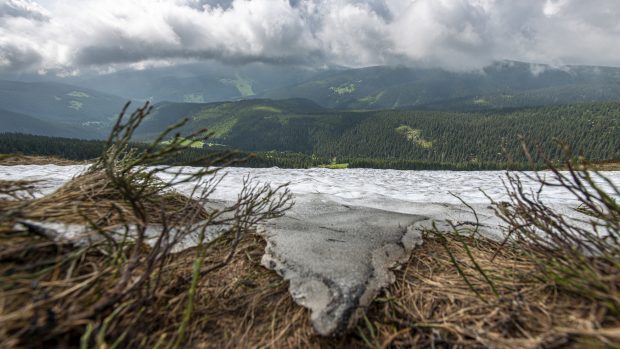 Sněhové pole známé jako Mapa republiky (na snímku ze 7. června 2019) nad Modrým dolem v Krkonoších vydrží pravděpodobně do konce června