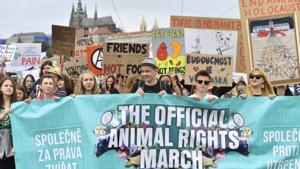 Pochod nazvaný The Official Animal Rights March pořádal spolek Otevři oči pod záštitou britské organizace Surge a podpořily ho další dvě desítky organizací.