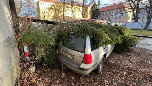 Stromy kvůli silnému větru padaly a poškodily vozidla