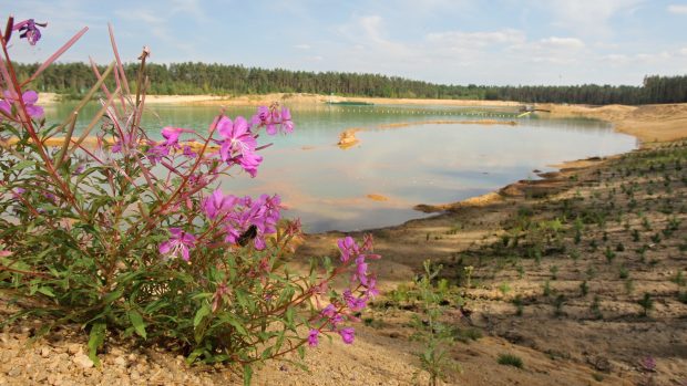 Bývalá pískovna Cep II u Třeboně na snímku z roku 2013