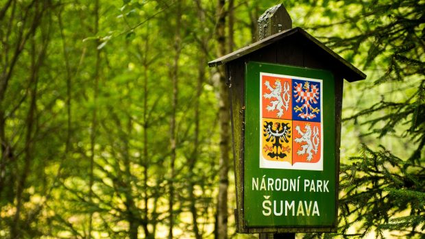 Národní park Šumava (ilustrační foto)