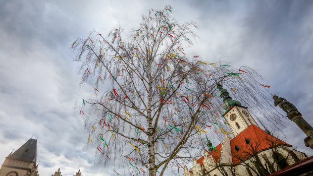 Na Žižkově náměstí v Táboře byl loni vztyčen velikonoční strom. Bříza je ozdobená pentlemi.