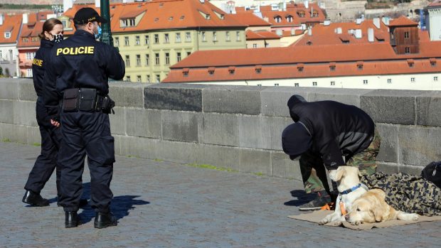 Náměstek primátora Pospíšil (TOP 09) chce zabránit tomu, aby žebráci či pouliční umělci zneužívali psy jako způsob, jak v lidech vzbudit emoce a vymámit z nich více peněz (ilustrační foto)