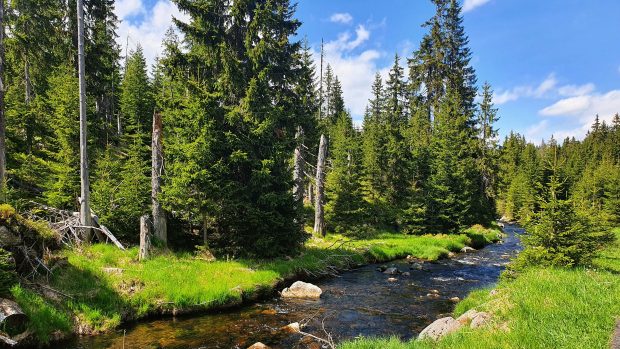 Krásné Luzenské údolí se nachází v 1. zóně NP, nachází se zde unikátní rašeliniště a podmáčené smrčiny proto je přístup mimo značené cesty turistům zakázán