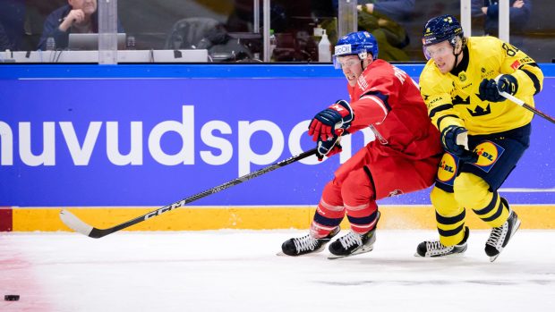 Český hokejový útočník Jakub Rychlovský v boji o puk se švédským soupeřem Marcusem Sylvegĺrdem