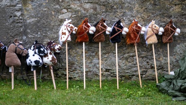 Hobby horsing